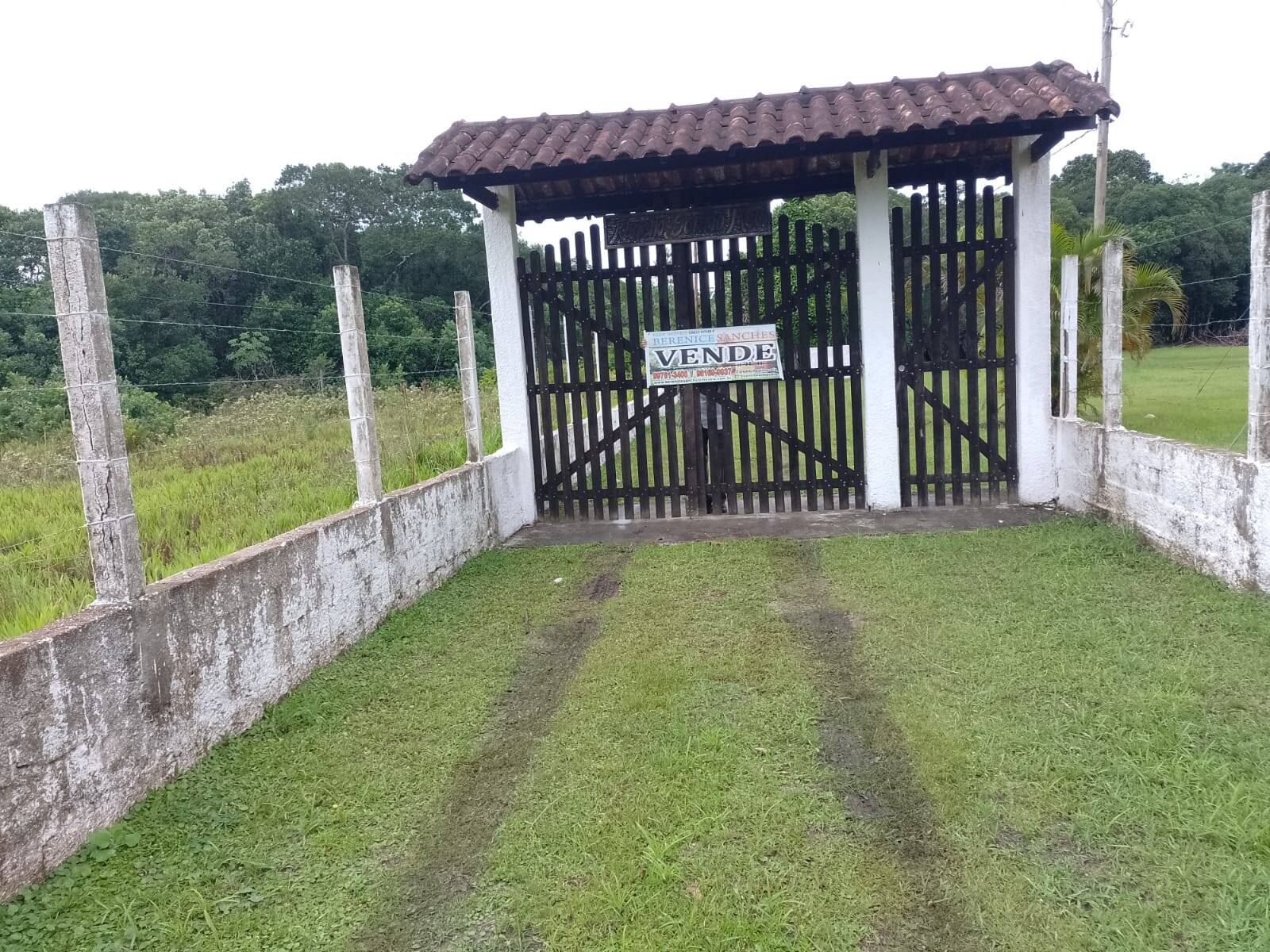 #109 - Chácara para Venda em Iguape - SP