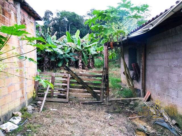 Sítio para Venda em Iguape - 5