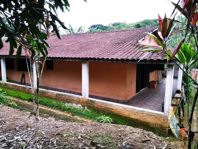 Sítio para Venda em Iguape - 4