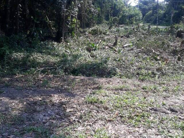 Área para Venda em Iguape - 4
