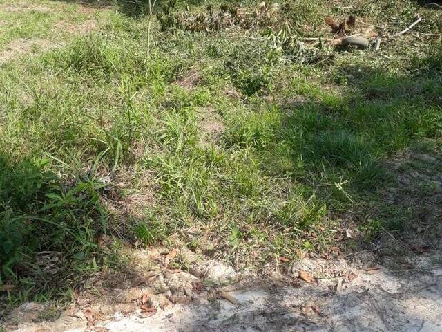 Área para Venda em Iguape - 5
