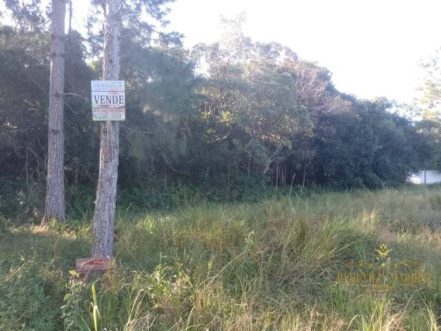 Área para Venda em Iguape - 4