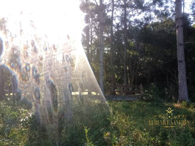 Área para Venda em Iguape - 5