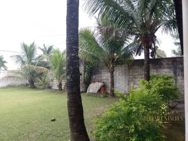 Casa para Locação em Iguape - 5