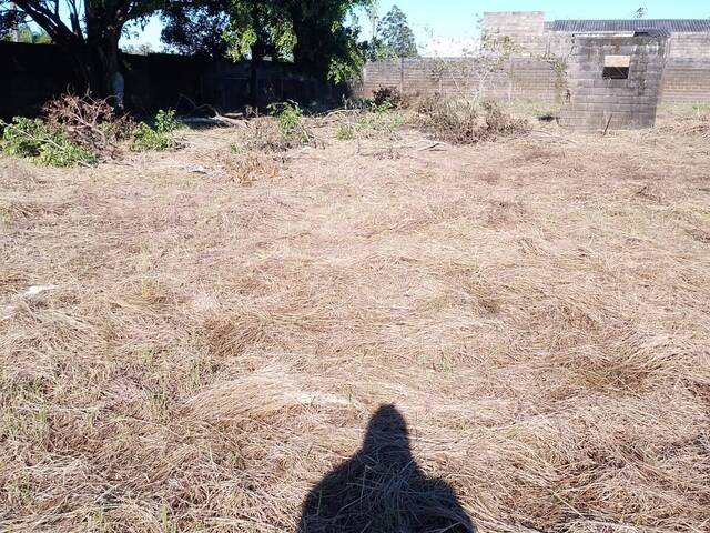 Área para Venda em Iguape - 4