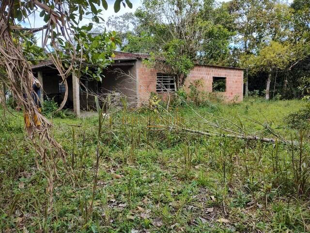 #131 - Chácara para Venda em Iguape - SP - 2