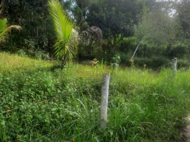 #135 - Chácara para Venda em Iguape - SP - 3