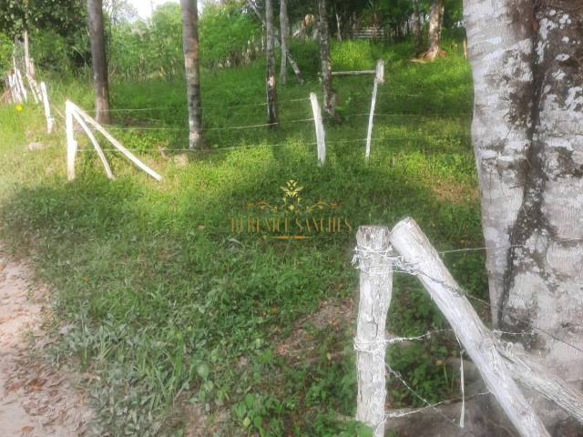 #135 - Chácara para Venda em Iguape - SP - 2