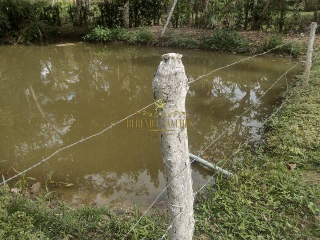 Chácara para Venda em Iguape - 5