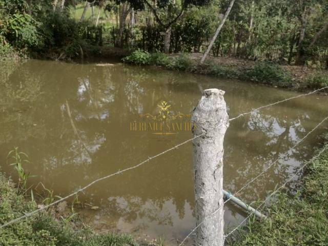 Chácara para Venda em Iguape - 4